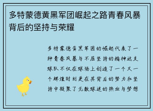 多特蒙德黄黑军团崛起之路青春风暴背后的坚持与荣耀